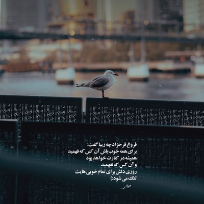 پیام عباسی میگفتی بری رگامه زدم